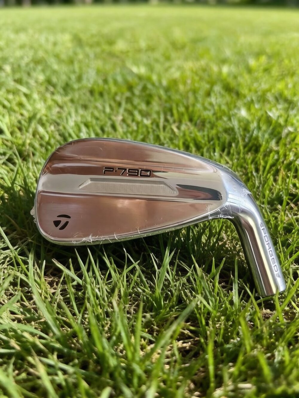2025 Taylormade P790 Iron Sets 5th Gen P Iron - Silver